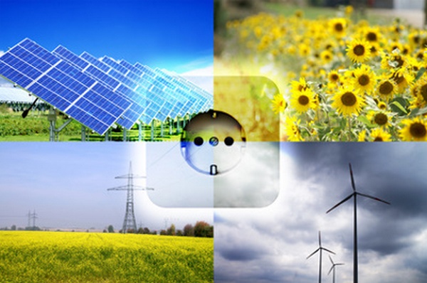 Украина имеет наибольший резерв развития биоэнергетики по сравнению со странами ЕС